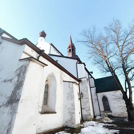 Rooftop Flat Near Alexander Nevsky Cathedral 公寓 塔林