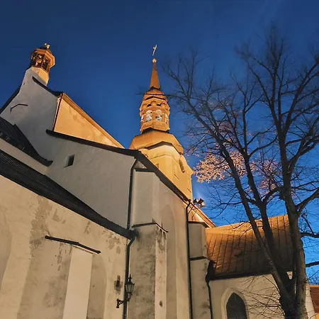 公寓 Rooftop Flat Near Alexander Nevsky Cathedral *