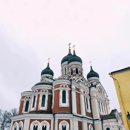 Rooftop Flat Near Alexander Nevsky Cathedral