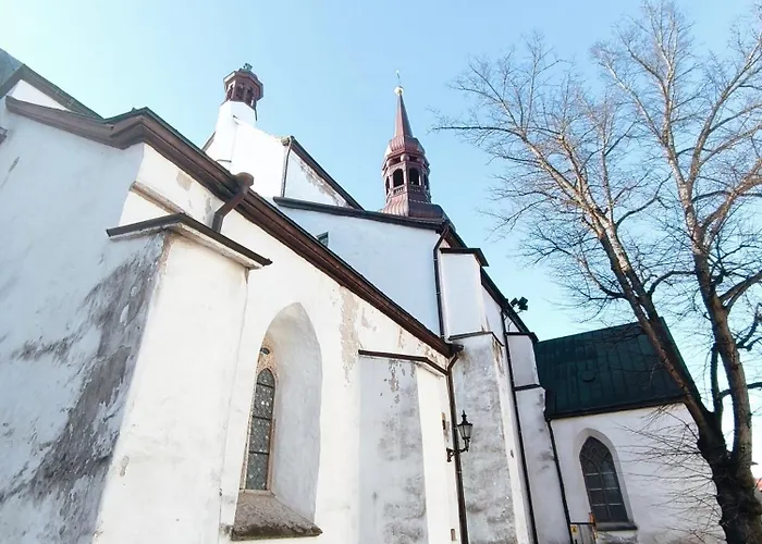 Rooftop Flat Near Alexander Nevsky Cathedral Apartment Tallinn