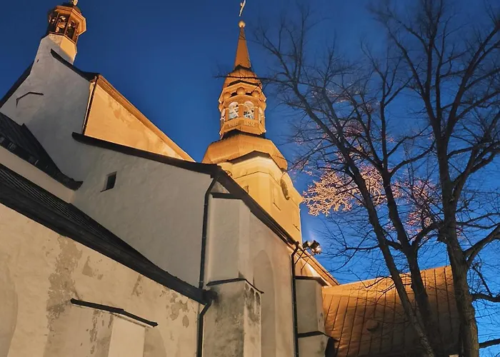 Apartment Rooftop Flat Near Alexander Nevsky Cathedral *